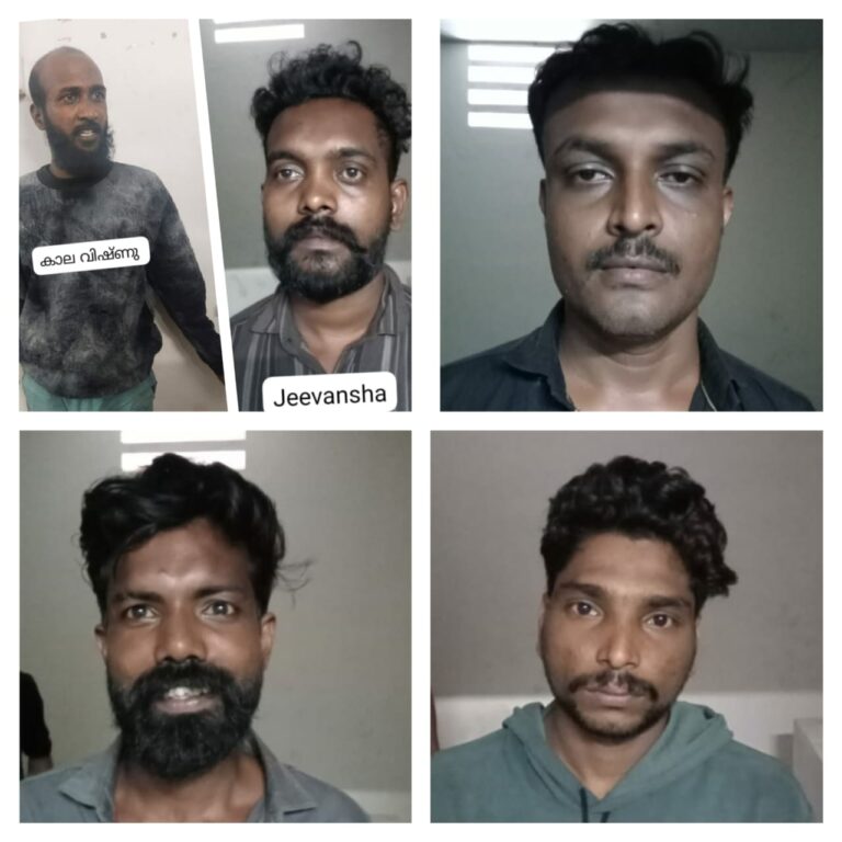 ജില്ലയില്‍ വന്‍കഞ്ചാവ് വേട്ട; യുവാക്കള്‍ പിടിയില്‍.