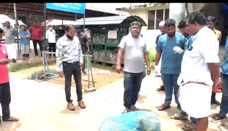 തെരുവ്നായ് ശല്യം രൂക്ഷമായതിനെ തുടർന്ന് പാരിപ്പള്ളി മെഡിക്കൽ കോളേജിൽ നായ പിടുത്തവും പേവിഷ പ്രതിരോധ കുത്തിവയ്പും ആരംഭിച്ചു.