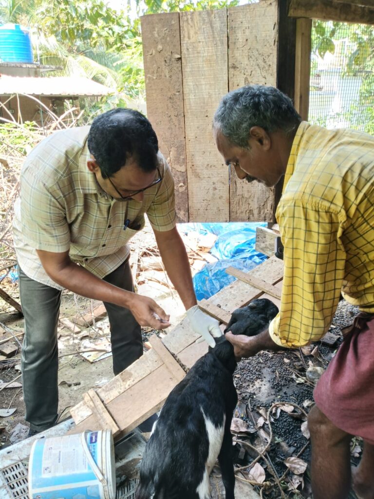 ദേശീയ ജന്തുരോഗ നിയന്ത്രണ പദ്ധതി.