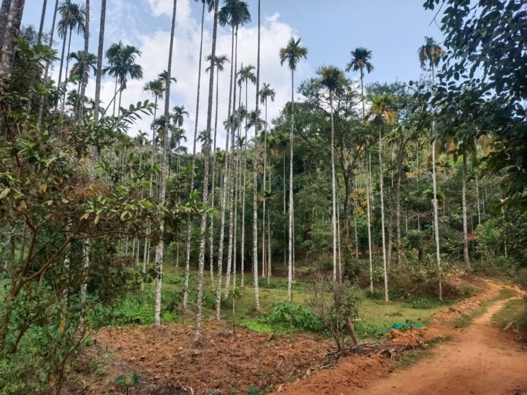 വയനാട് ലോക്സഭാ ഉപതെരഞ്ഞെടുപ്പ് 11 ബൂത്തുകളില്‍ മാറ്റം.