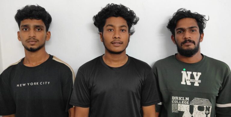 കൃഷ്ണപുരം കാപ്പിൽ വീട്ടിൽ കയറി യുവാവിനെ ഗുരുതരമായി വെട്ടി പരിക്കേൽപ്പിച്ച  കേസിലെ പ്രതികൾ അറസ്റ്റിൽ.