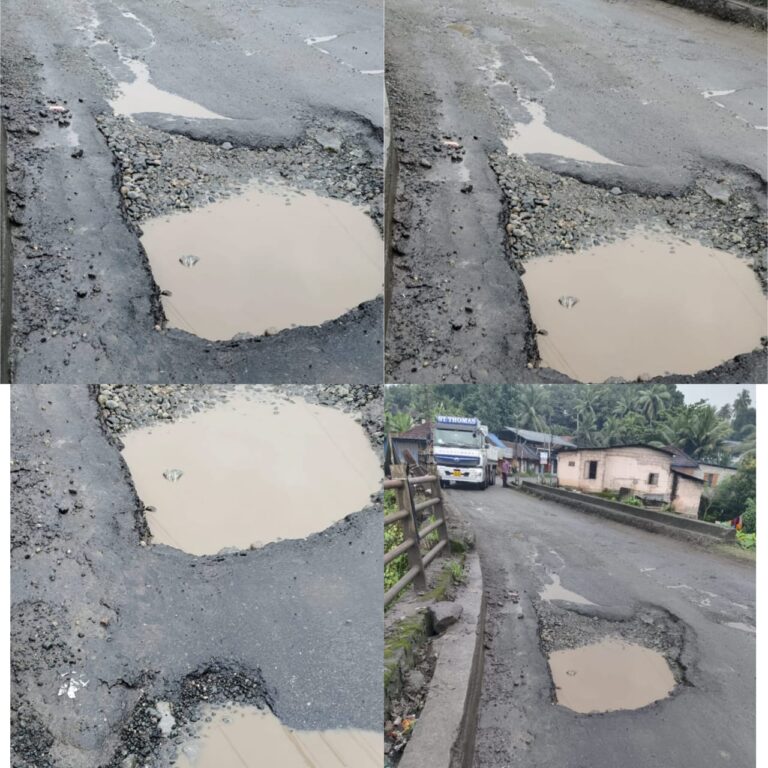 റയിൽവെ മേൽപാലത്തിലെ കുഴികൾ?????