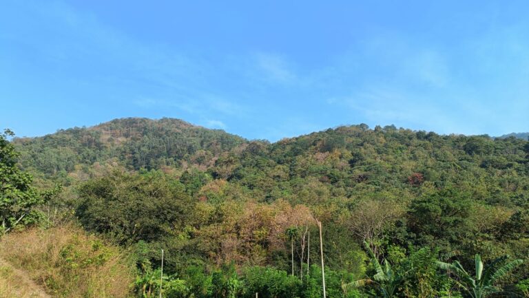 സംസ്ഥാനത്ത് ജീവനക്കാർക്കും അധ്യാപകർക്കും ഓൺലൈൻ സ്ഥലംമാറ്റം കീറാമുട്ടി പല വകുപ്പുകളിലും തന്നിഷ്ടം കളിക്കുന്നു എന്ന് അക്ഷേപം.