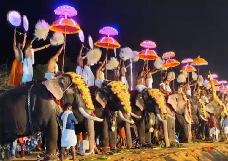 “കൊല്ലം പൂരം: വെടിക്കെട്ട് പ്രകടനത്തിന് അനുമതിയില്ല”