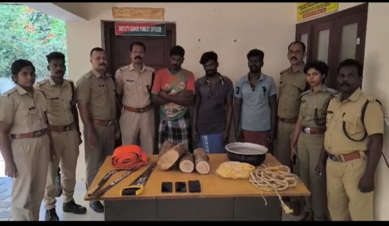 ആര്യങ്കാവ് റെയിഞ്ചില്‍ കടമാന്‍പാറ ചന്ദന സംരക്ഷണ മേഖലയില്‍ നിന്നും ചന്ദനം മുറിച്ച് കടത്തിയ3 തമിഴ്നാട് സ്വദേശികളെ തെന്മല ഡിവിഷനിലെ വനം വകുപ്പ് അധികൃതര്‍ കസ്റ്റഡിയിലെടുത്തു.