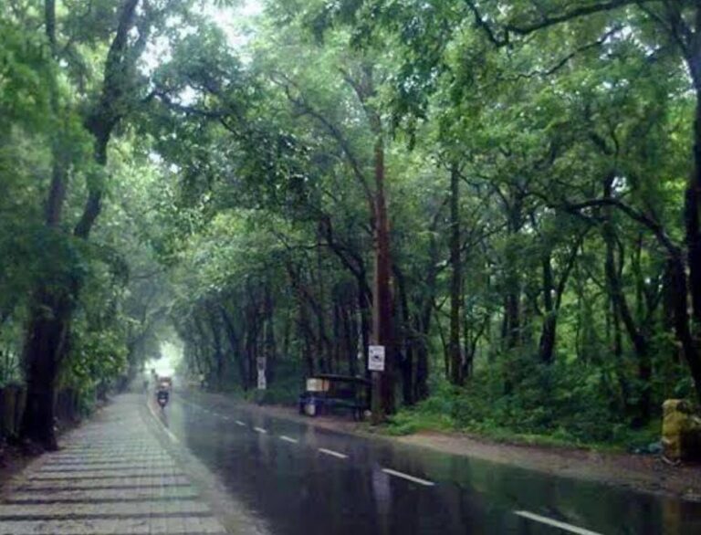 ഉപതിരഞ്ഞെടുപ്പിൽ ഇടതു സ്ഥാനാർത്ഥി പ്രഖ്യാപനം വെള്ളിയാഴ്ച്ച , പൊതു സമ്മതനായ സ്ഥാനാർത്ഥി വരും.