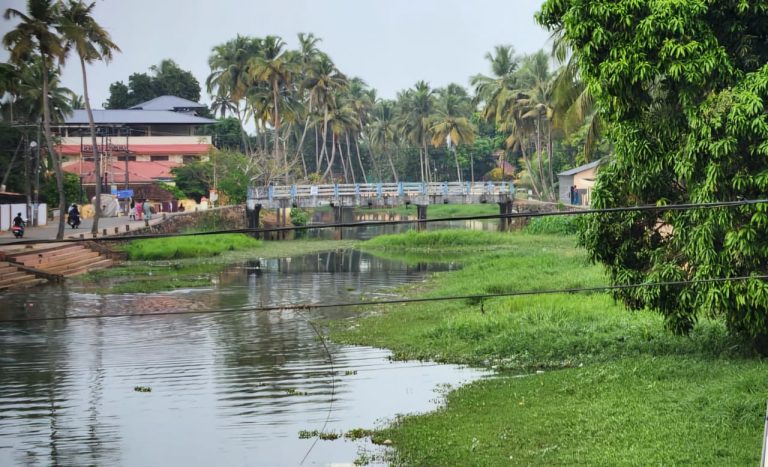 എടത്വ പള്ളി  തോട്ടിൽ മാലിന്യം ; ദുർഗന്ധം വമിക്കുന്നുവെന്ന് എടത്വ  വികസന സമിതി